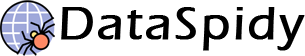 Data Spidy Software Product Logo